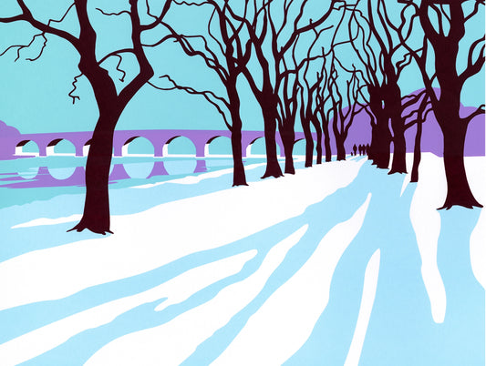 FRESH SNOW ON TYNE GREEN, HEXHAM